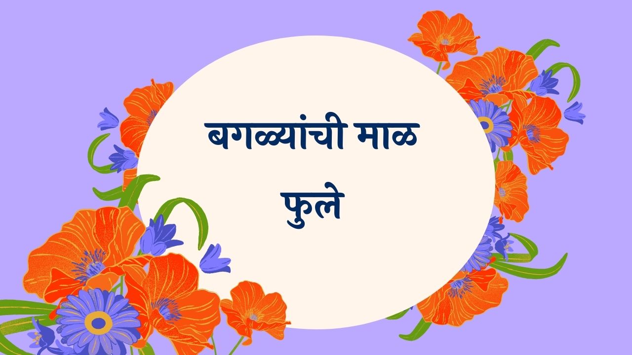 Bagalyanchi Maal Phule Marathi Lyrics