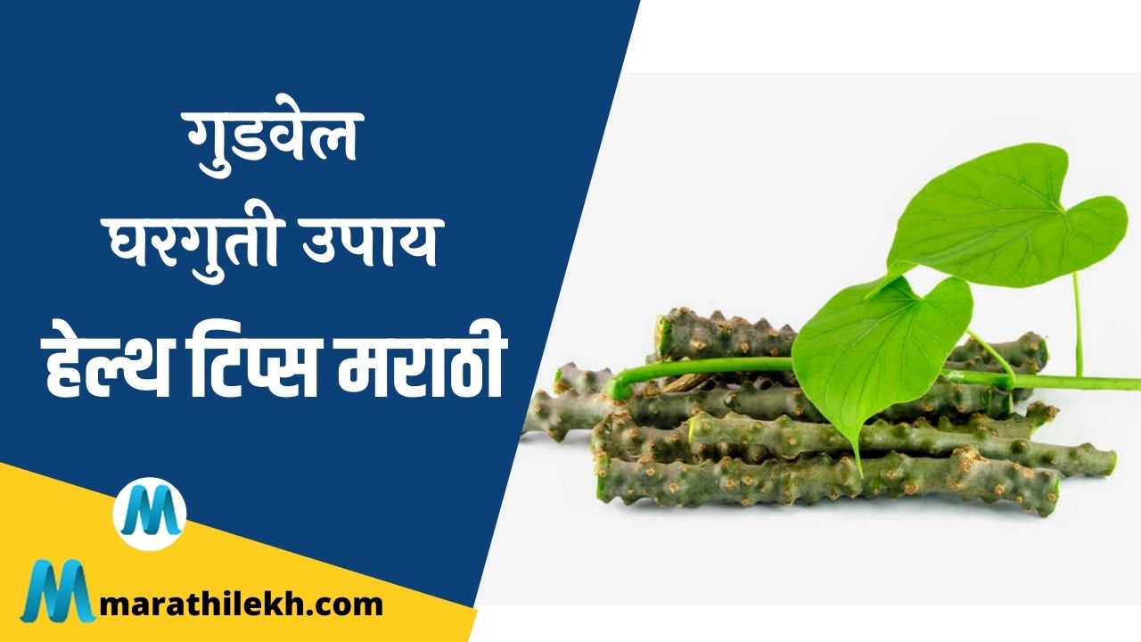 Giloy Home Remedies In Marathi