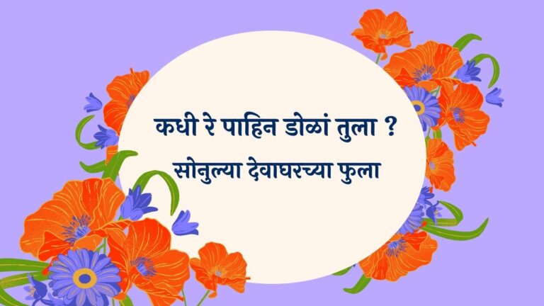 Kadhi Re Pahin Dola Marathi Lyrics