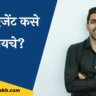 Information about Insurance Agent in Marathi